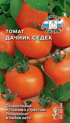 томат Дачник СеДеК семена