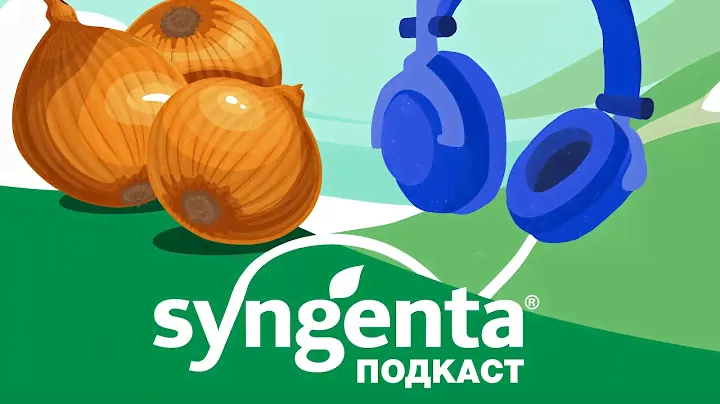 🧅 Шейковая гниль лука