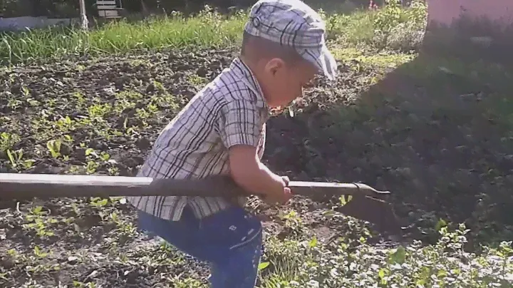 Маленький дачник