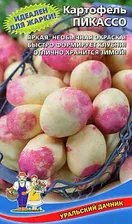 Картофель Пикассо "Уральский дачник"